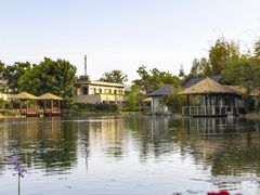 -抚仙湖万达文华酒店