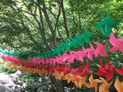 -十渡东湖港风景区