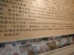 -洛阳周王城天子驾六博物馆