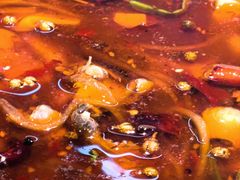 -乡土特色.冷锅鱼.牦牛肉汤锅