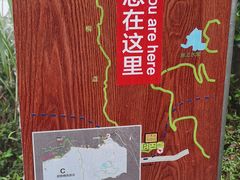 -梧桐山风景名胜区