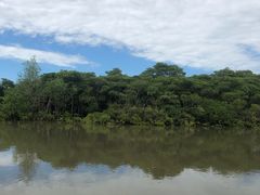 -东寨港红树林旅游区