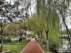 -南翠屏公园
