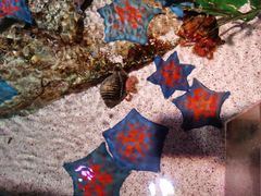 -沈阳海洋探索中心