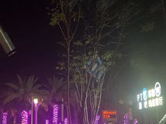 -三亚海昌梦幻海洋不夜城