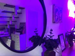 -蜉蝣刺青纹身定制