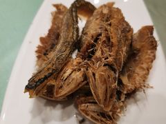 -华盛丰温州大排档(东三环南路店)