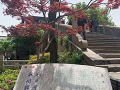 -枫桥景区