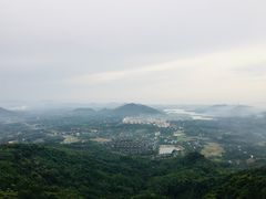 -呀诺达热带雨林