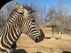 -北京野生动物园