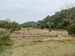 -李小龙乐园(顺德均安店)