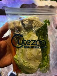 -酷嗒动物文化乐园(cutezoo西溪乐天城店)