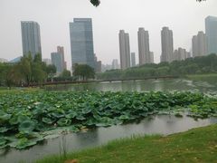 -后襄河公园