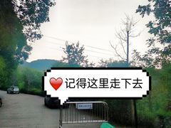-广州市帽峰山景区