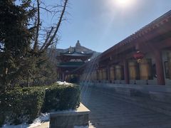 -龙口南山旅游景区