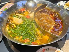 -由衷贵州酸汤牛肉火锅(新桥店)