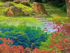 -广州市帽峰山景区