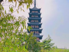 -上海方塔园