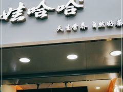 门面-娃哈哈·奶茶(武林店)
