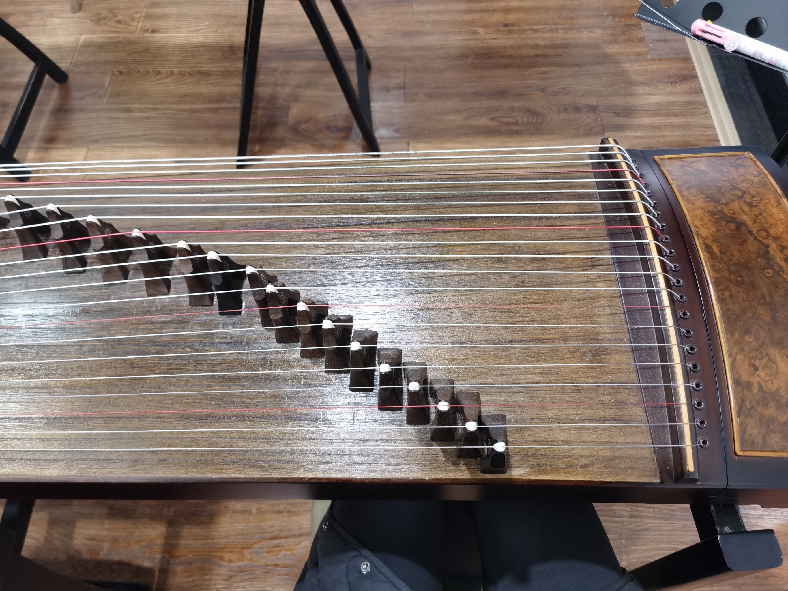 和古筝来个亲密接触