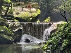-牛背梁国家森林公园