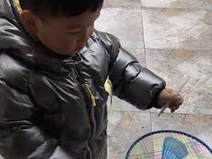 -北京青翼羽训羽毛球俱乐部(奥森店)