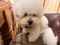 -伽利略剧本探案馆(国贸店)