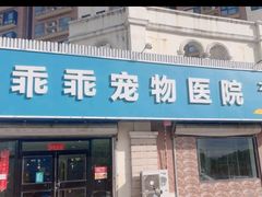 -乖乖宠物医院·猫科·骨科·24小时(云岗分院)