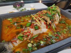 活渡花鲢-蜀江春(科华北路店)