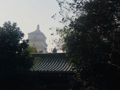 -大唐博相府酒店·陕西官府菜