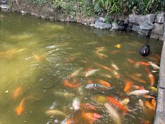 -珠海圆明新园