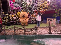 -正佳雨林生态植物园