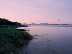 -上海吴淞炮台湾国家湿地公园