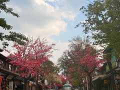 -大理文庙(大理古城)