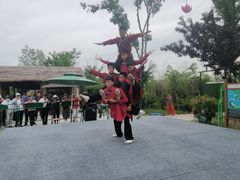 -泗洪洪泽湖湿地景区