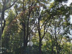 -苏州河梦清园环保主题公园