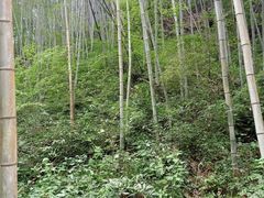 -溪口-滕头旅游景区