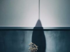 景观位-HAY COFFEE
