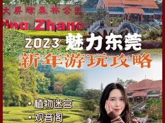 -大屏嶂森林公园