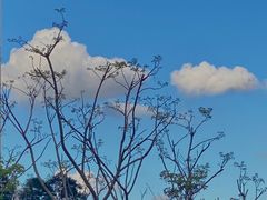 -深圳湾万象城(南山店)