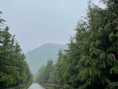 -西安金龙峡风景区