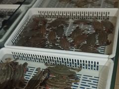 -映像威海·海鲜味道(经区店)