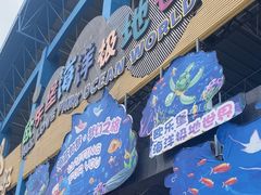 -泉城欧乐堡海洋极地世界