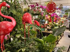 -桂林市花鸟市场