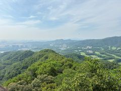 -大屏嶂森林公园
