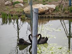 -武汉动物园