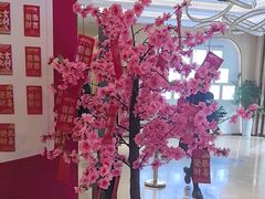 -合肥美奥口腔·种植矫正中心(政务院)