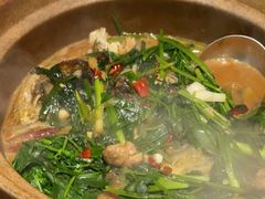 -九道菜有鸡鱼头(石鼓路店)