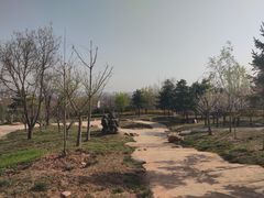 -府君山公园