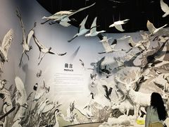 -中国湿地博物馆